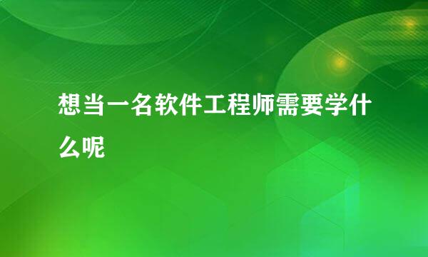 想当一名软件工程师需要学什么呢