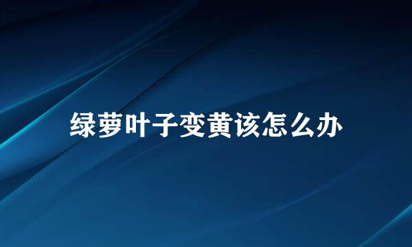 绿萝叶子变黄该怎么办