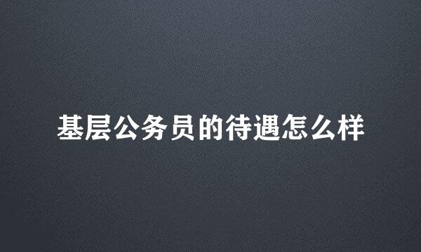 基层公务员的待遇怎么样