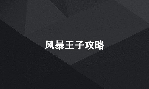 风暴王子攻略