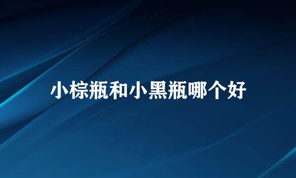 小棕瓶和小黑瓶哪个好