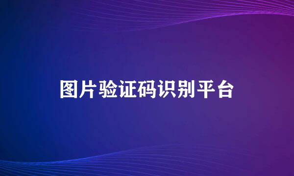 图片验证码识别平台