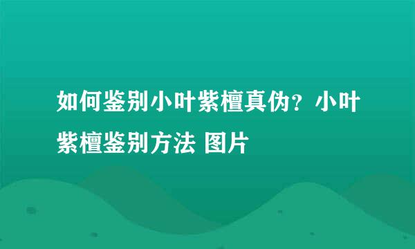 如何鉴别小叶紫檀真伪？小叶紫檀鉴别方法 图片