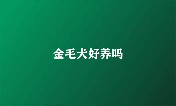 金毛犬好养吗