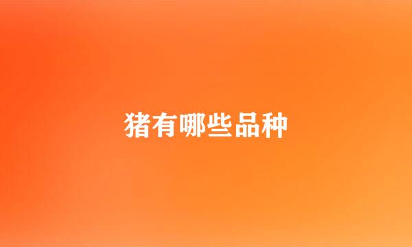 猪有哪些品种