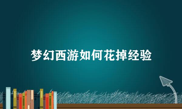 梦幻西游如何花掉经验