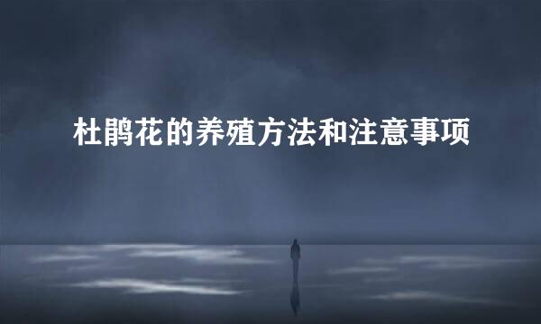 杜鹃花的养殖方法和注意事项
