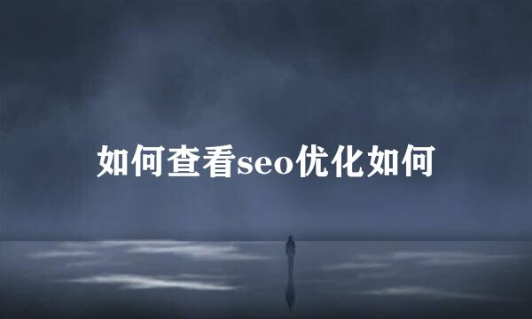 如何查看seo优化如何