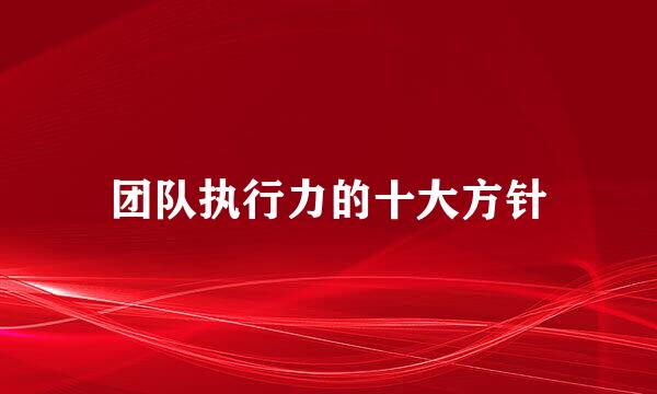 团队执行力的十大方针