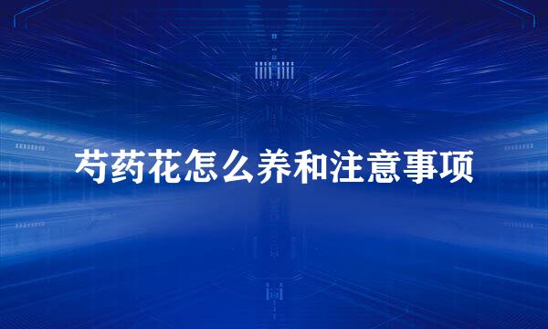 芍药花怎么养和注意事项