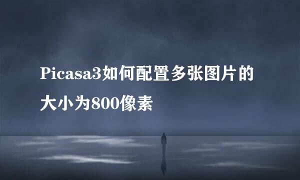 Picasa3如何配置多张图片的大小为800像素