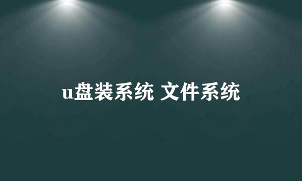 u盘装系统 文件系统