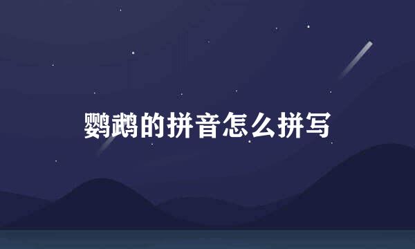 鹦鹉的拼音怎么拼写
