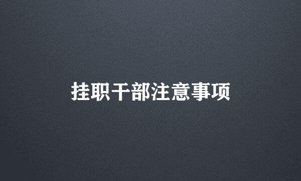 挂职干部注意事项