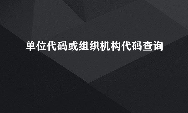 单位代码或组织机构代码查询