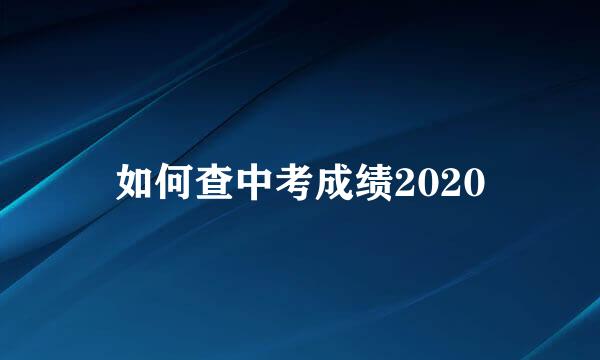 如何查中考成绩2020