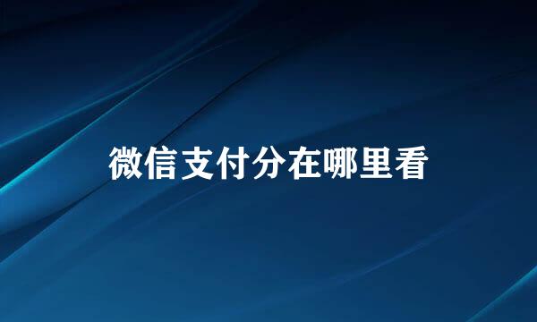 微信支付分在哪里看