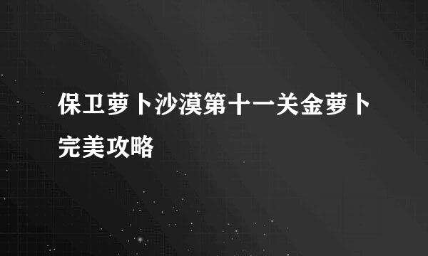 保卫萝卜沙漠第十一关金萝卜完美攻略