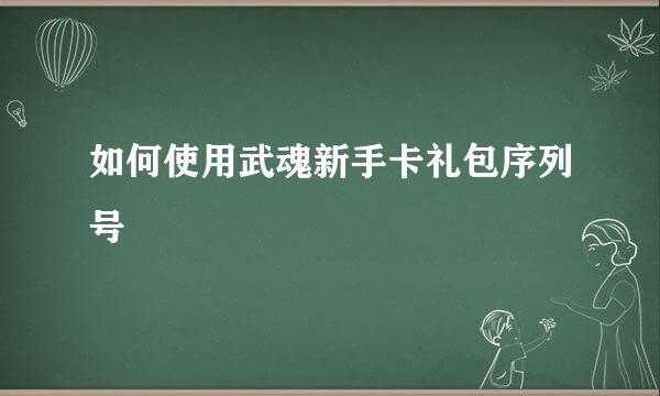 如何使用武魂新手卡礼包序列号
