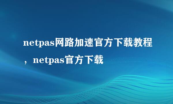 netpas网路加速官方下载教程，netpas官方下载