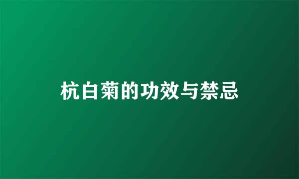 杭白菊的功效与禁忌