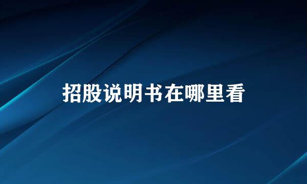招股说明书在哪里看