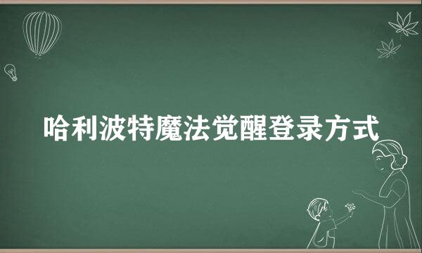 哈利波特魔法觉醒登录方式