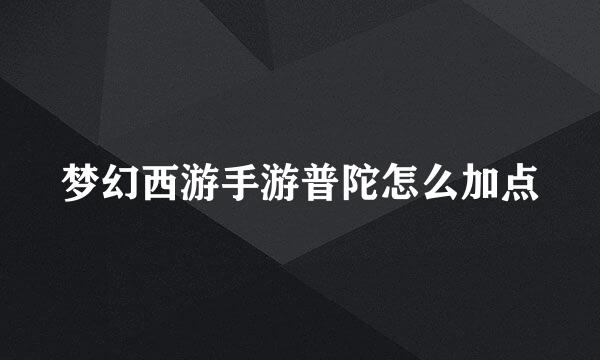 梦幻西游手游普陀怎么加点