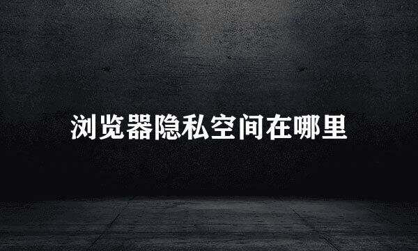 浏览器隐私空间在哪里