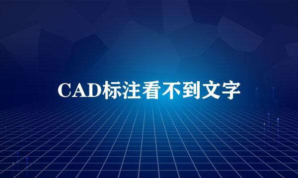 CAD标注看不到文字