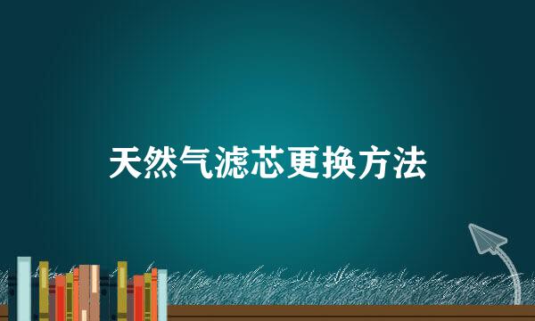 天然气滤芯更换方法