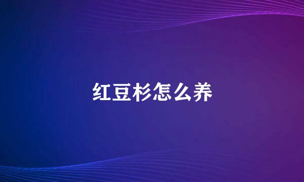 红豆杉怎么养
