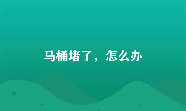 马桶堵了，怎么办