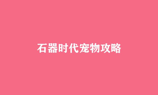 石器时代宠物攻略