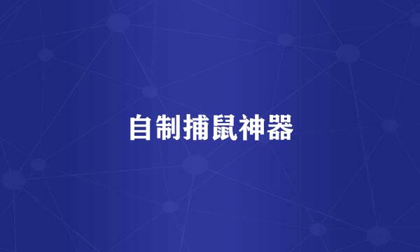 自制捕鼠神器