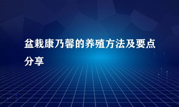 盆栽康乃馨的养殖方法及要点分享
