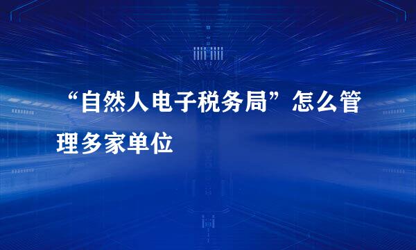 “自然人电子税务局”怎么管理多家单位