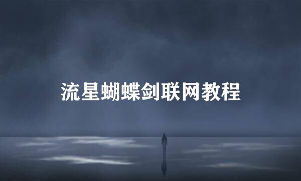 流星蝴蝶剑联网教程