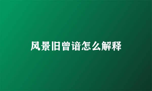 风景旧曾谙怎么解释