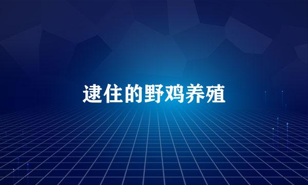 逮住的野鸡养殖