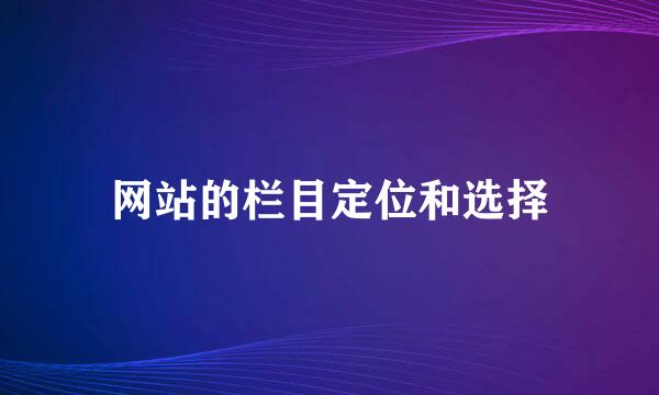 网站的栏目定位和选择