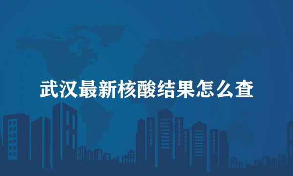 武汉最新核酸结果怎么查