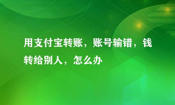 用支付宝转账，账号输错，钱转给别人，怎么办