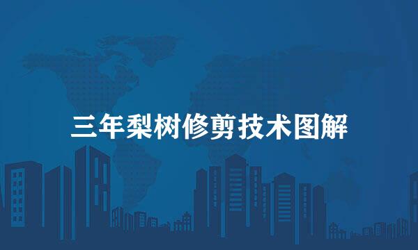 三年梨树修剪技术图解