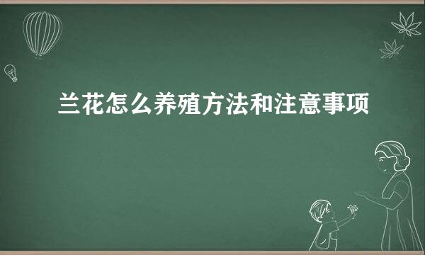 兰花怎么养殖方法和注意事项