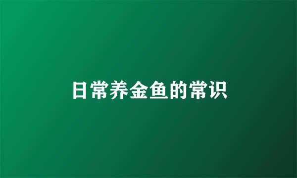 日常养金鱼的常识