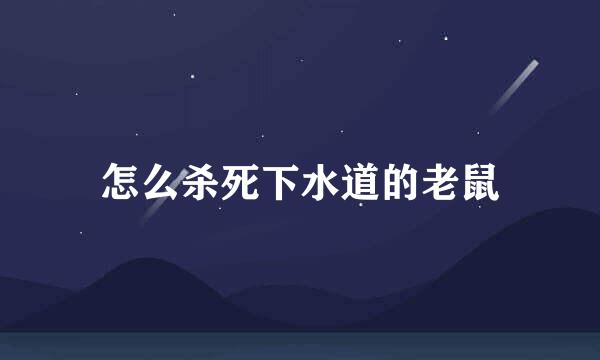 怎么杀死下水道的老鼠