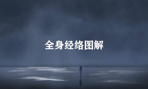 全身经络图解