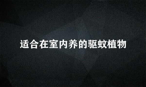 适合在室内养的驱蚊植物