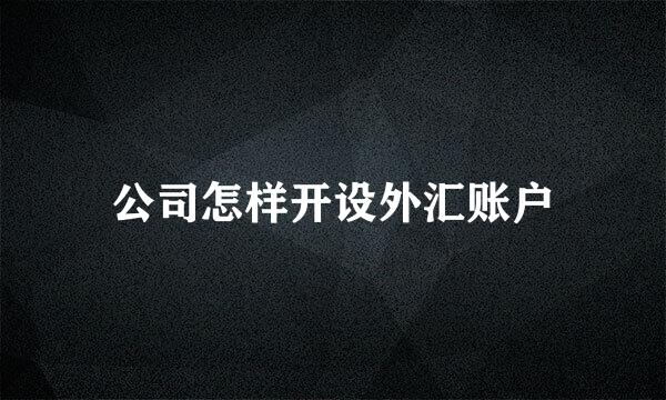 公司怎样开设外汇账户